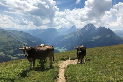 Schweiz