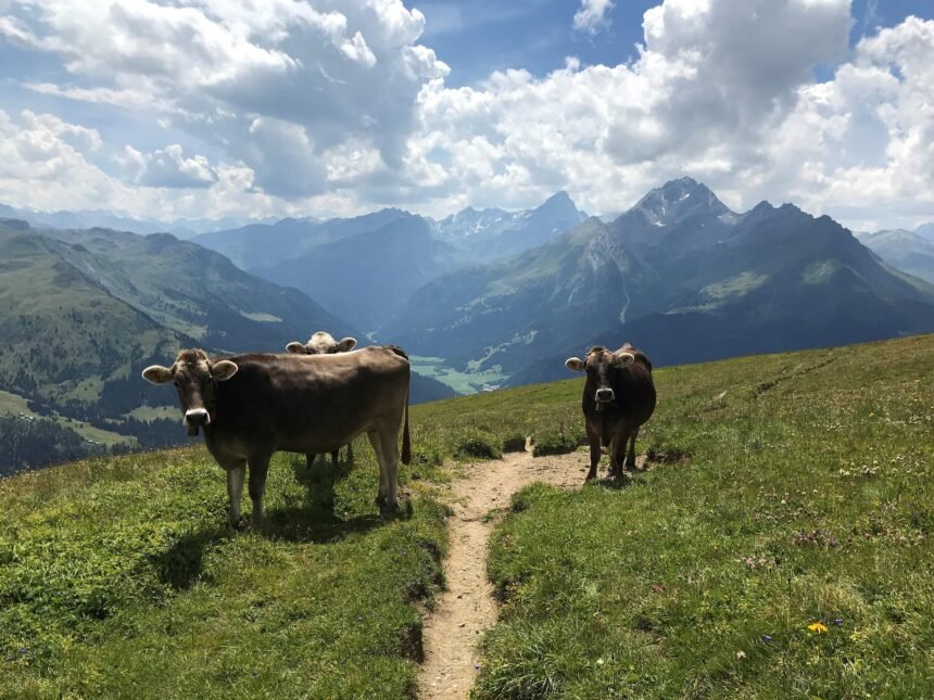Schweiz