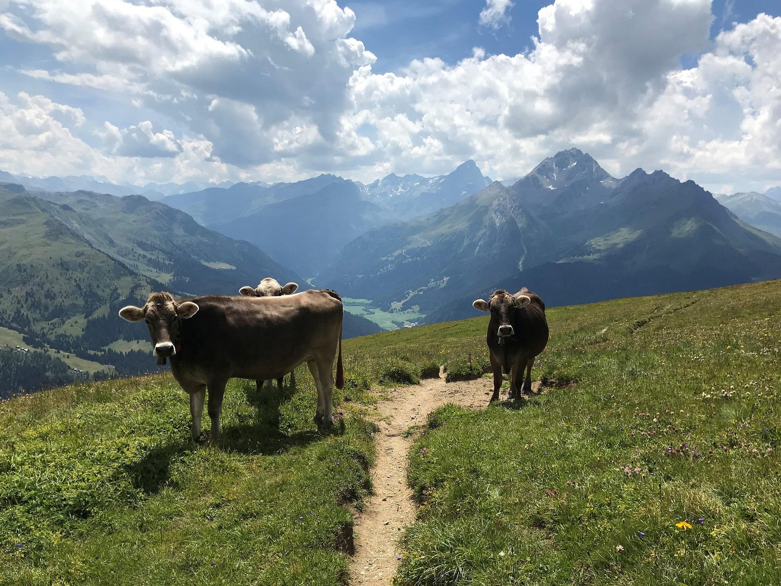 Schweiz