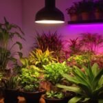 Die Vorteile von LED Grow Lampen Vollspektrum für den Indoor-Anbau